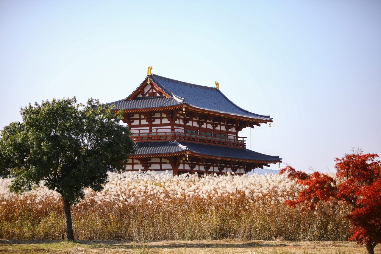 🏞️ 헤이조 궁터 역사공원 (헤이조큐세키 레키시 코엔) 이미지 1